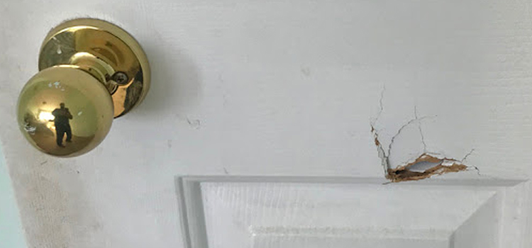 interior door hole repair Hilmar-Irwin